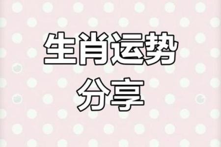 从生肖角度解析如何提升身体健康，哪些属相今年健康运最佳？