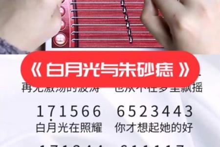 白月光与朱砂痣歌词 白月光与朱砂痣歌词什么意思