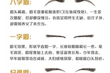 男士眉毛短有什么说法 男的眉毛短面相会怎样