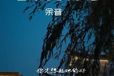 什么叫白月光,什么叫朱砂痣 你晓不晓得什么是白月光和朱砂痣