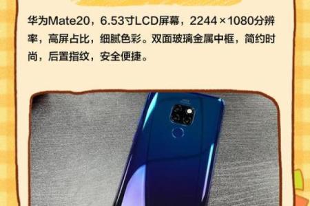 mate20哪一年出来的 华为mate10哪一年出来的
