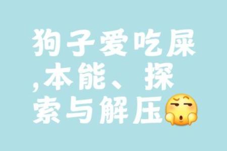 狗屎运是什么意思 狗屎运是褒义还是贬义