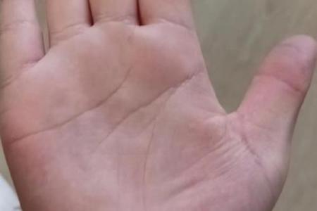 头脑笨的人手相 脑子聪明手笨