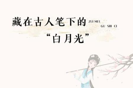 白月光朱砂痣含义 白月光朱砂痣 啥意思