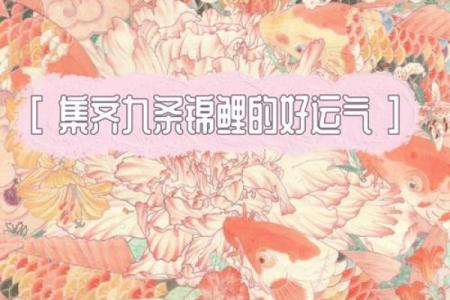 锦鲤又叫什么 锦鲤叫什么名字比较合适