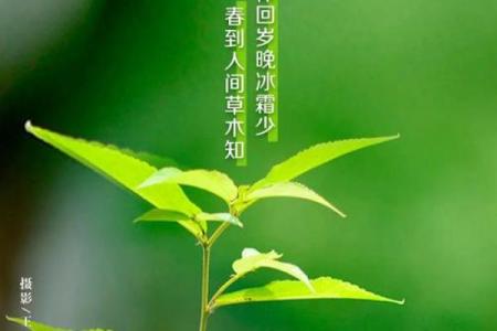 今天立春时间(今天立春时间是几点钟)