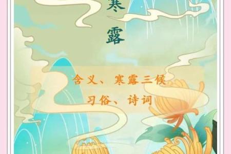 2024年寒露是几点几分(2028年寒露是几月几号)