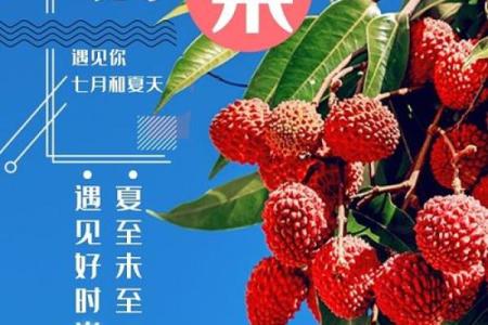 有几个月 夏天有几个月