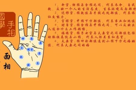 手相图解女右手(手相图解女右手父母宫)