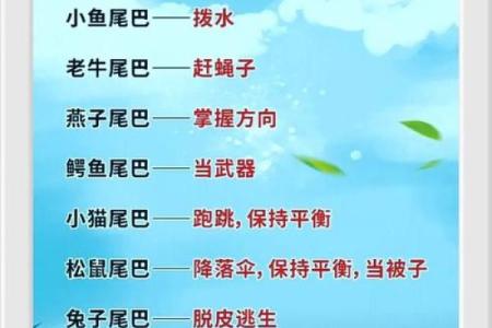臭名昭著打一动物(臭名昭著打一动物正确答案)