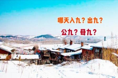 2019数九天时间表
