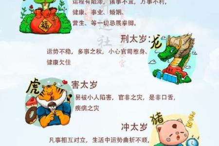 破太岁怎么理解(破太岁怎么理解2025)