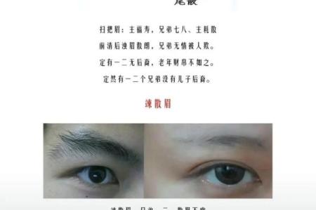 眉毛说法 面相学眉毛说法