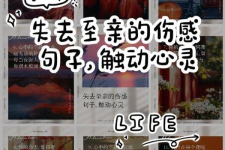 为什么说至亲至疏夫妻 至亲至疏是夫妻的前一句