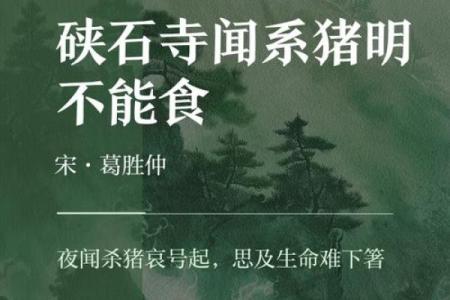 ‌一生只以食为天 → 猪‌（豕生贪食，饱腹为天）
