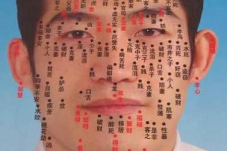 身上最好的16痣相 女人身上最好的三颗痣图解