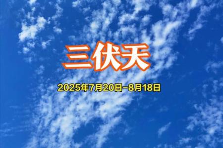 2021年三伏天具体从几月几号开始到几月几号正式结束？