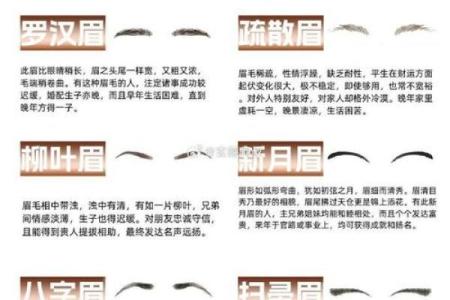 眉毛有什么说法 女人没有眉毛有什么说法
