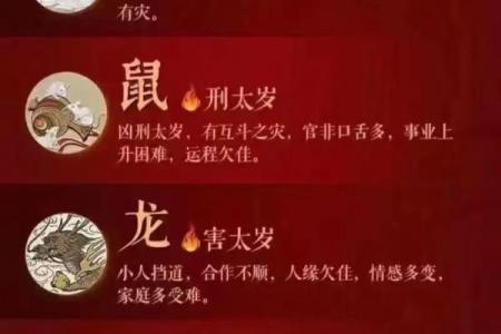 01年本命年是哪一年 2001本命年是哪年