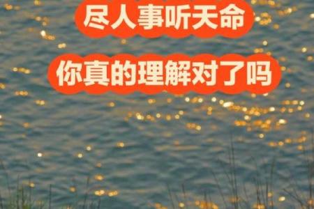 尽天命前一句 尽什么听天命