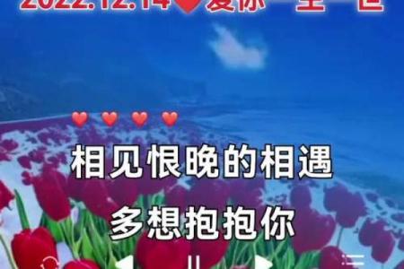 12月14日拥抱情人节有什么特殊含义和传统习俗？