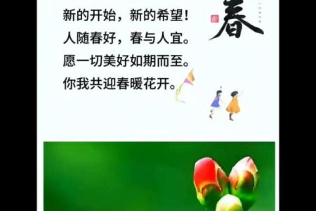 2025年立春准确时间 2025年立春是几点到几点钟
