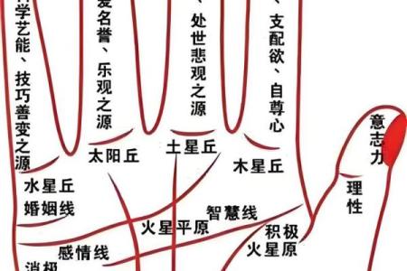 无名指比食指长是怎么回事 无名指比食指长是怎么回事有什么说法