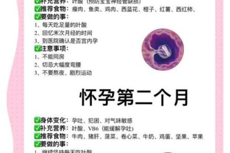 10天是几个月 10天是多少个月