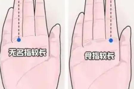 无名指长食指含义 无名指长过食指代表什么