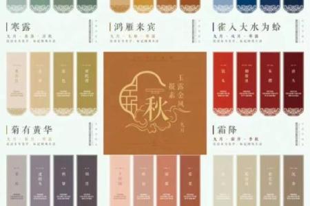 九九天具体是指哪一天，它在中国传统节气中有什么特殊意义？