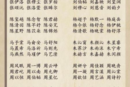 取名字大全2017最新版