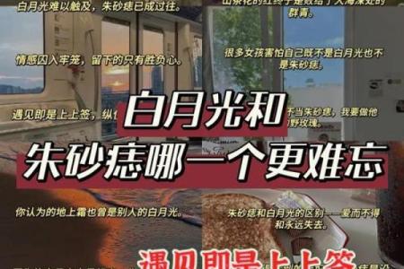 何为白月光何为朱砂痣 什么叫做白月光什么又是朱砂痣