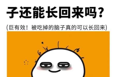 脑子笨智商低是天生的吗 智商低是笨的意思吗