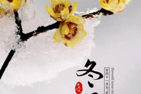 阴历冬月是几月(阴历的冬月是哪个月)