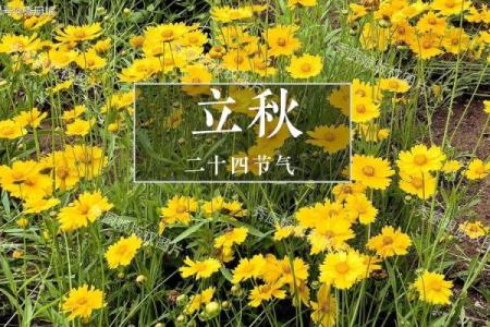 2018立秋是几月几日(2018年立秋是什么时候)