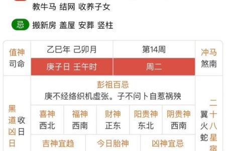 24年打春在几月几日几点(二十四年春)