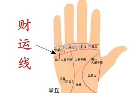 手掌纹路图解大全 男人手掌纹看相