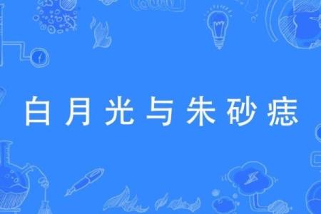白月光和朱砂痣还有一个是什么 白月光和朱砂痣中间是什么