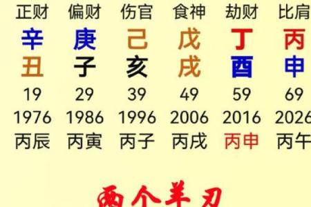 丙午年是哪年 2023是癸卯年吗