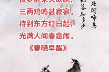 和尚敲钟三更起 → 鸡（鸡鸣报晓，三更钟起）‌