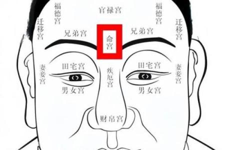 眉毛在相学里面代表什么 眉毛在面相中