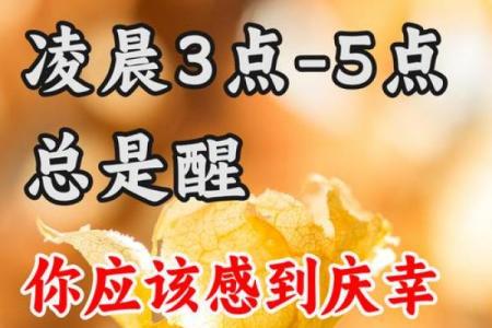 凌晨是神的时间(凌晨是神的时间)