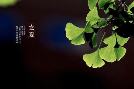 几点立夏