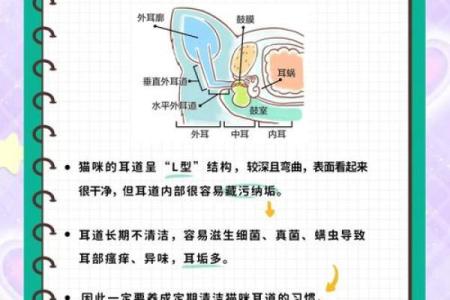 耳热预测(已婚女人右耳朵热的预兆)