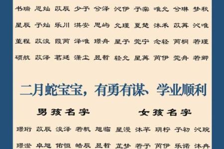 2025年出生的宝宝几月最好 2025年出生的宝宝几月最好命呢男孩
