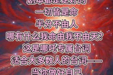 我即是天命 华娱之我即是天命