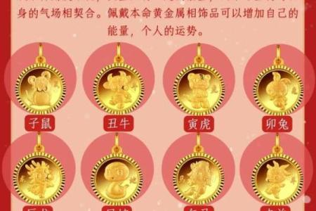十二生肖排行 十二生肖排行图片