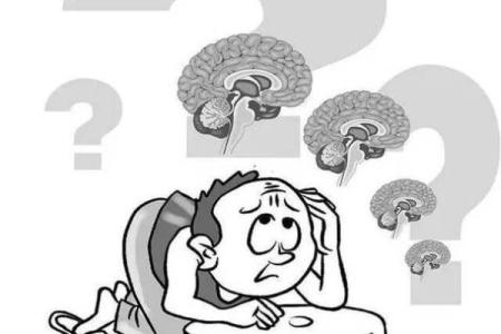 脑子笨的表现 脑子笨的表现