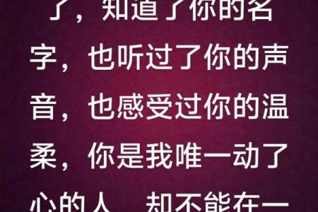 最温柔的情话八个字