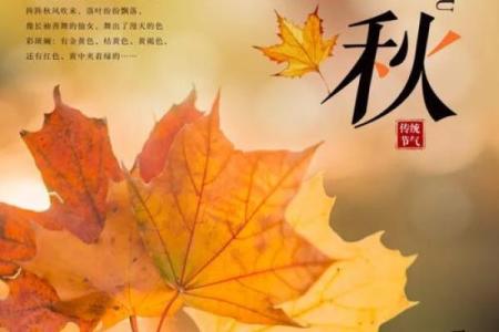2024立秋准确时间(2024立秋准确时间图片)